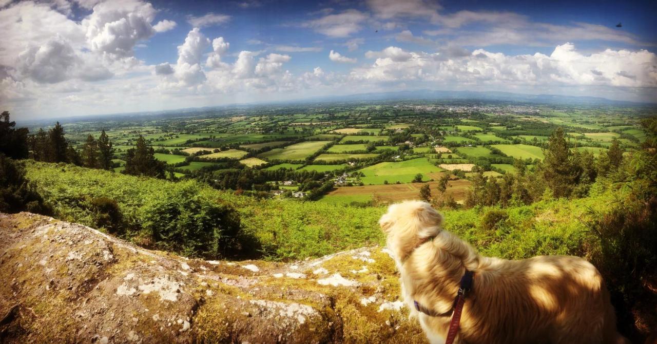Ballyglass Country House Tipperary Dış mekan fotoğraf