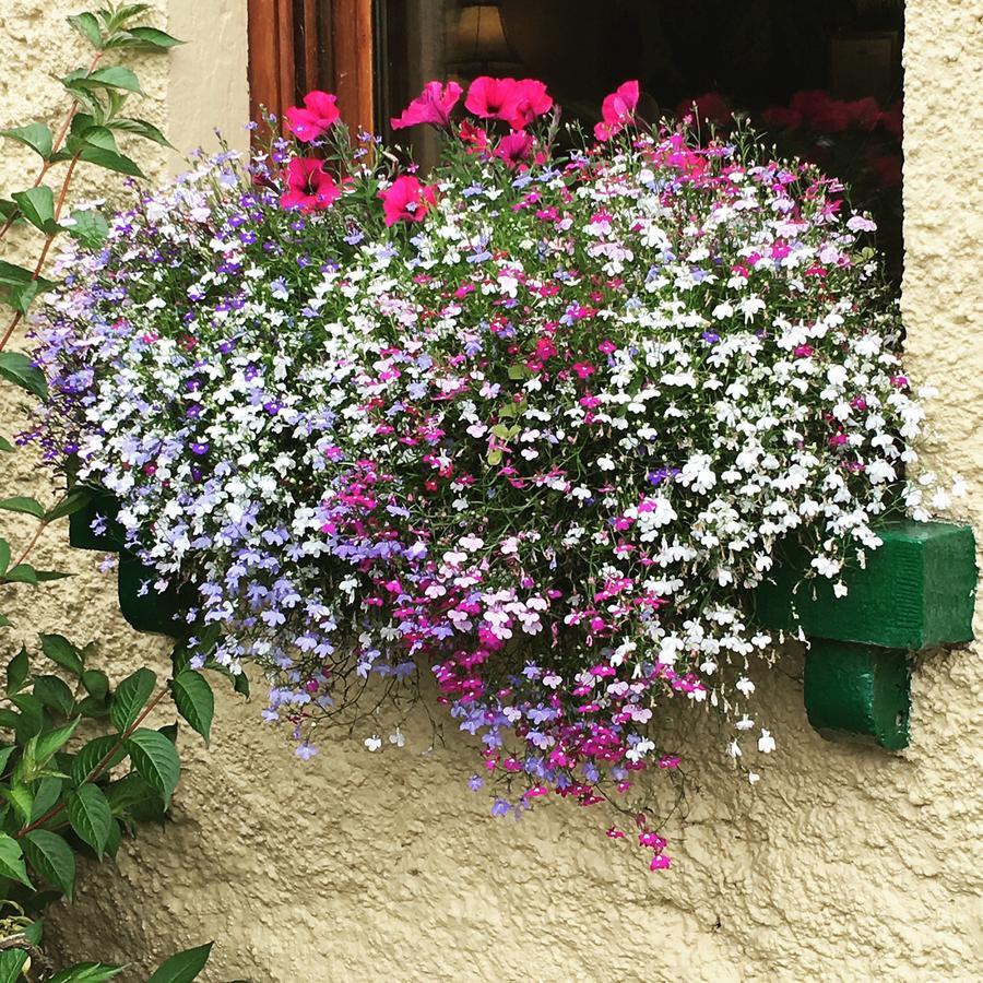 Ballyglass Country House Tipperary Dış mekan fotoğraf